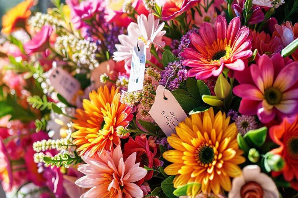 Entendendo o Verdadeiro Custo de um Buquê: Onde Está o Seu Dinheiro